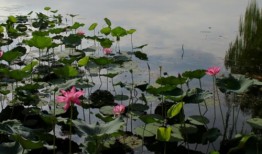 河北古镇旅游景点大全排名？