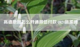 高德地图怎么开通微信付款 2024新渠道