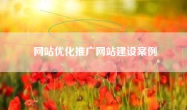 网站优化推广网站建设案例