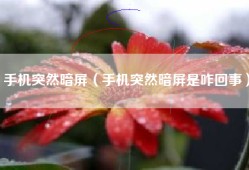 手机突然暗屏（手机突然暗屏是咋回事）
