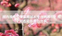 国内搜索引擎常用站长平台有哪些？几个知名站长平台分享