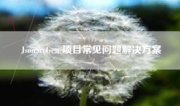 JsonSrcGen 项目常见问题解决方案