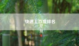 快速上百度排名
