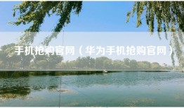 手机抢购官网（华为手机抢购官网）