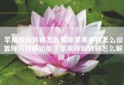 苹果呼叫转移怎么解除苹果手机怎么设置呼叫转移功能「苹果呼叫转移怎么解除」