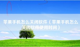 苹果手机怎么关闭软件（苹果手机怎么关闭软件使用时间）