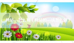网站seo怎么写（网站的seo该怎么做）