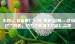 (黑帽seo)营销推广机构_揭秘(黑帽seo)营销推广机构，助力企业腾飞的幕后英雄