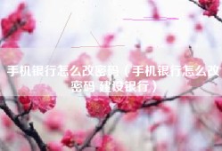 手机银行怎么改密码（手机银行怎么改密码 建设银行）
