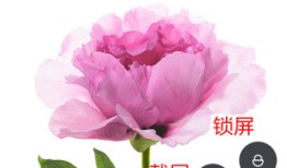 降价后更值得入手 这些手机买了不后悔模块化手机「降价后更值得入手 这些手机买了不后悔」
