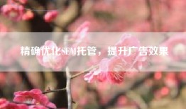 精确优化SEM托管，提升广告效果