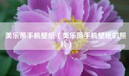 美乐蒂手机壁纸（美乐蒂手机壁纸的照片）
