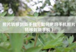 照片转移到新手机（如何把旧手机照片转移到新手机）