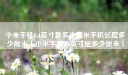 小米手机6.4英寸是多少厘米手机长度多少厘米「小米手机6.4英寸是多少厘米」