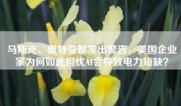 马斯克、奥特曼都发出警告，美国企业家为何如此担忧AI会导致电力短缺？