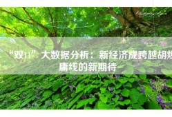 “双11”大数据分析：新经济成跨越胡焕庸线的新期待