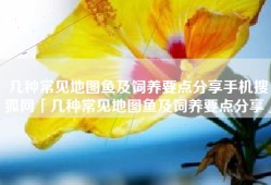 几种常见地图鱼及饲养要点分享手机搜狐网「几种常见地图鱼及饲养要点分享」
