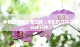 手机的文件管理在哪（手机的文件管理在哪儿找）