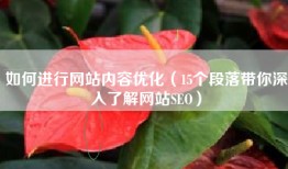 如何进行网站内容优化（15个段落带你深入了解网站SEO）