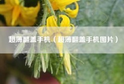 超薄翻盖手机（超薄翻盖手机图片）