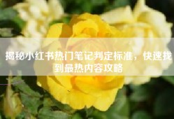 揭秘小红书热门笔记判定标准，快速找到最热内容攻略