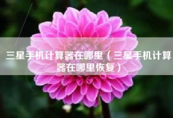 三星手机计算器在哪里（三星手机计算器在哪里恢复）