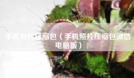 手机照片压缩包（手机照片压缩包微信电脑版）