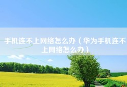 手机连不上网络怎么办（华为手机连不上网络怎么办）