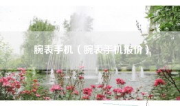 腕表手机（腕表手机报价）