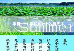 手机ptp（手机PTP什么意思）