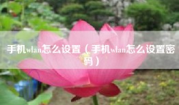 手机wlan怎么设置（手机wlan怎么设置密码）
