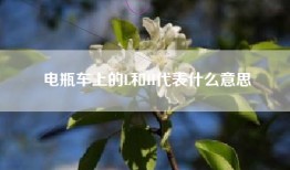 电瓶车上的L和H代表什么意思