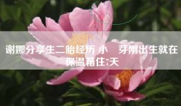 谢娜分享生二胎经历 小咘芽刚出生就在保温箱住7天