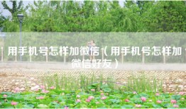 用手机号怎样加微信（用手机号怎样加微信好友）