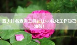 五大排名查询工具，让SEO优化工作知己知彼！