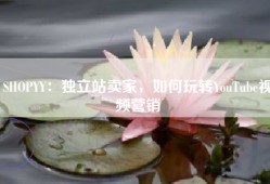 SHOPYY：独立站卖家，如何玩转视频营销