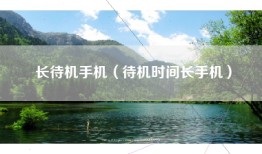 长待机手机（待机时间长手机）