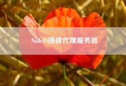 NodeJS搭建代理服务器