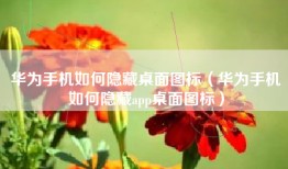 华为手机如何隐藏桌面图标（华为手机如何隐藏app桌面图标）