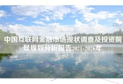 中国互联网金融市场现状调查及投资前景规划分析报告2021-2026年