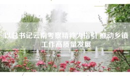 以总书记云南考察精神为指引 推动乡镇工作高质量发展