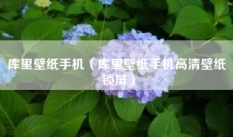 库里壁纸手机（库里壁纸手机高清壁纸 锁屏）