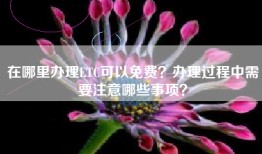 在哪里办理ETC可以免费？办理过程中需要注意哪些事项？