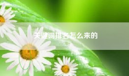关键词排名怎么来的