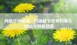 网站空间租赁，构建数字世界的基石，网站空间租赁费