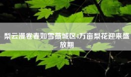 梨云漫卷春如雪藁城区4万亩梨花迎来盛放期