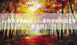 vivo查找手机网站（vivo查找手机网站无手机号码）