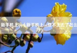 新手机上qq（新手机上qq登不上去了怎么办）