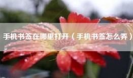手机书签在哪里打开（手机书签怎么弄）