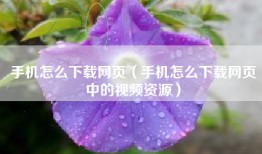 手机怎么下载网页（手机怎么下载网页中的视频资源）